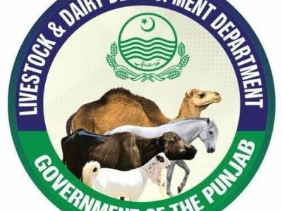 محکمہ لائیو سٹاک پنجاب