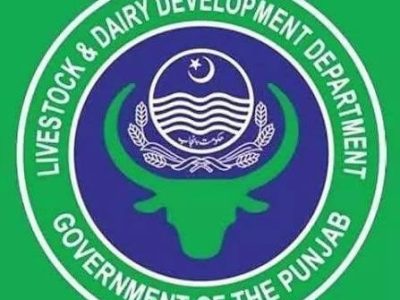 محکمہ لائیوسٹاک و ڈیری ڈویلپمنٹ فیصل آباد