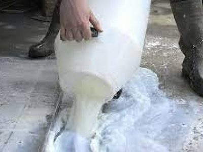 پنجاب فوڈ اتھارٹی