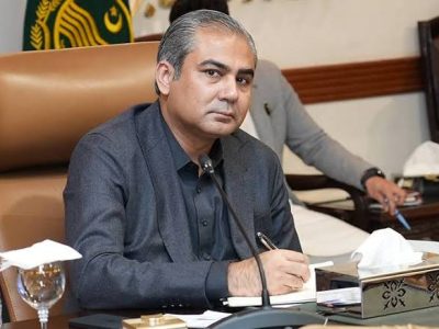 وفاقی وزیر داخلہ سید محسن رضا نقوی