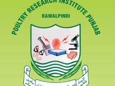 پولٹری ریسرچ انسٹی ٹیوٹ مری روڈ شمس آباد راولپنڈی