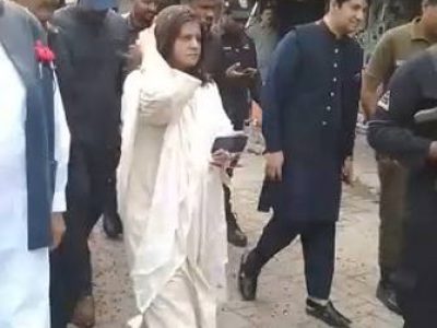 ڈپٹی کمشنر ننکانہ صاحب رعنا حمید