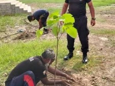 ڈیرہ اسماعیل خان کے چاروں اضلاع میں شجرکاری مہم کا انعقاد