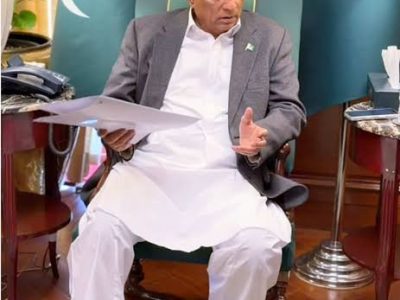 گورنر سندھ سید محمد نہال ہاشمی