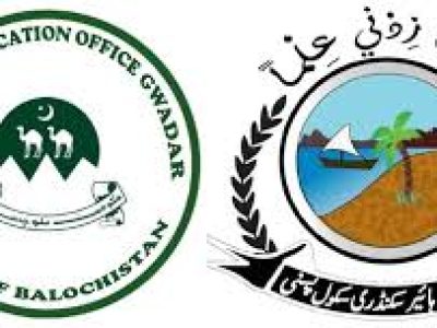 گورنمنٹ گرلز مڈل سکول حیدرگوٹھ پسنی