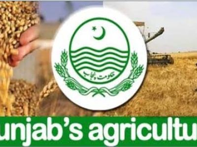 یورین اور گوبرپر مشتمل کھاد زرعی اجناس کی پیداوار میں اضافہ کیلئے
